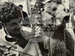 Снимка: Община Русе