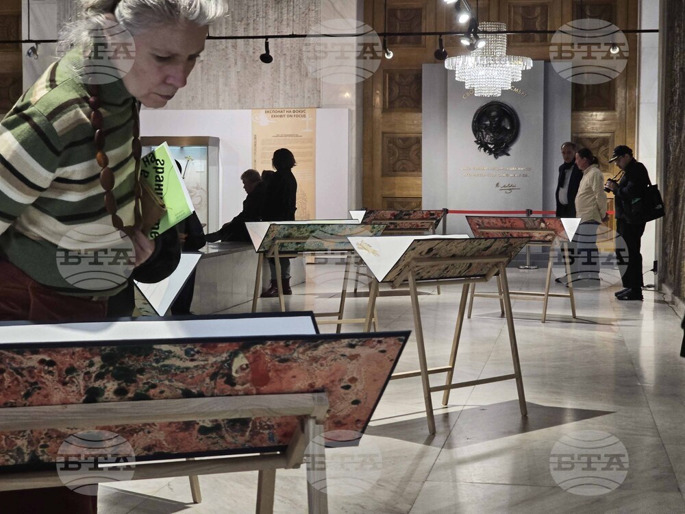 „През призмата на границите" - изложба