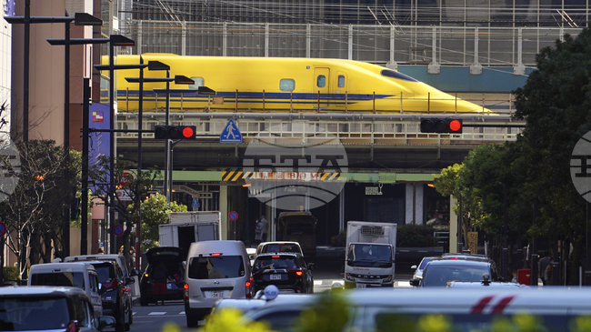 Лебед, излязъл на релсите, стана причина за закъснения на японските високоскоростни влакове "Шинкансен" 
