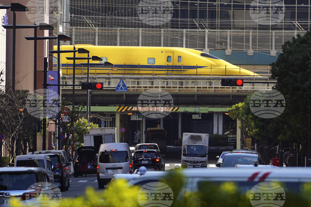Лебед, излязъл на релсите, стана причина за закъснения на японските високоскоростни влакове "Шинкансен" 