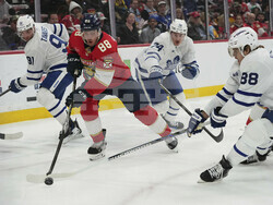 Maple Leafs Panthers Hockey