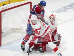Red Wings Canadiens Hockey