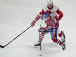Red Wings Canadiens Hockey