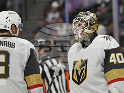 Golden Knights Avalanche Hockey