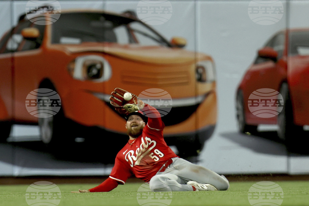 Reds Giants Baseball