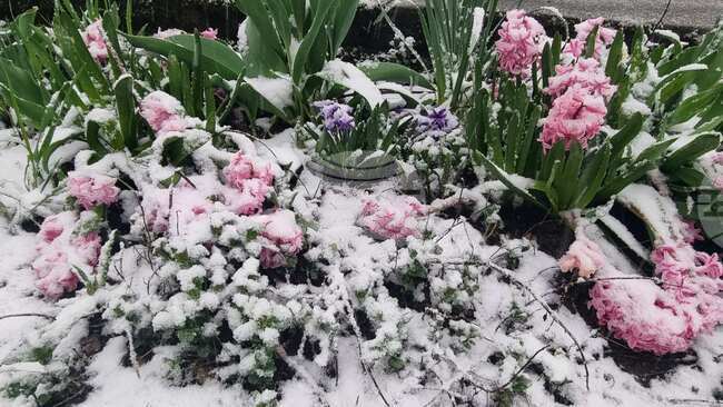 Пътищата в област Смолян са проходими при зимни условия, остава ограничението за прохода Превала