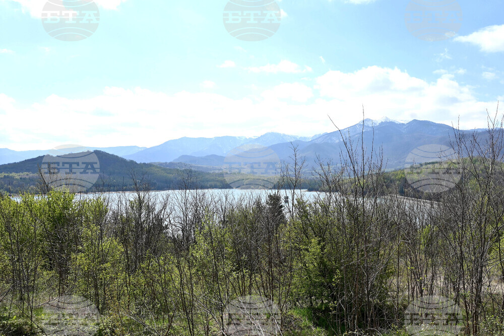 Берковица - язовир - ниво на водата