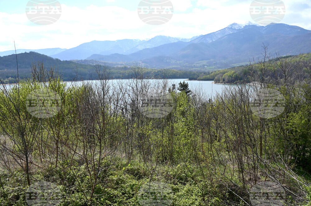 Берковица - язовир - ниво на водата