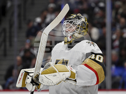 Golden Knights Avalanche Hockey