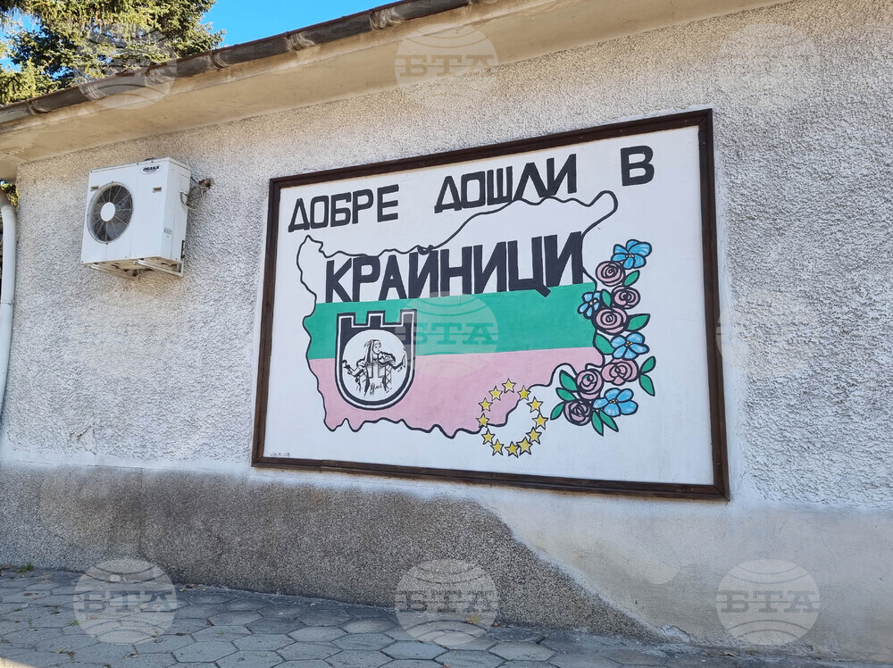 Кметът на Дупница Първан Дангов се включи в прибирането на реколтата от картофи от общинската зеленчукова градина