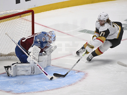 Golden Knights Avalanche Hockey