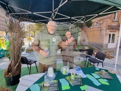 Сливен - фиданки - инициатива