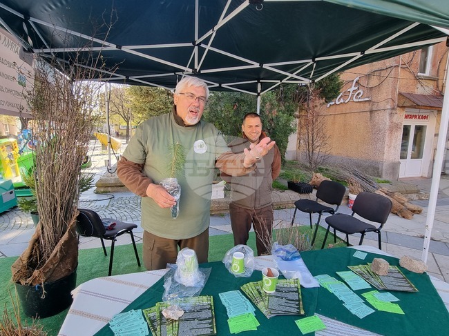 Сливен - фиданки - инициатива