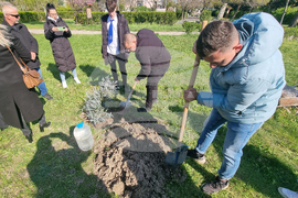 Хасково - "Седмица на гората"
