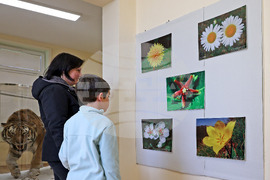 Варна - Природонаучен музей - изложба