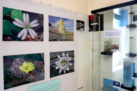 Варна - Природонаучен музей - изложба