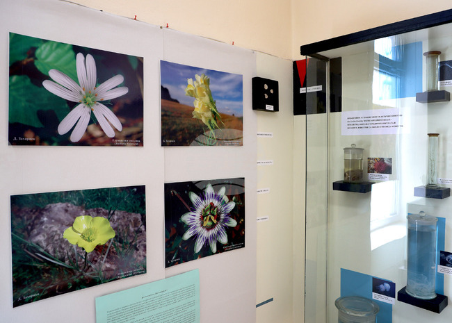 Варна - Природонаучен музей - изложба