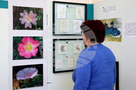 Варна - Природонаучен музей - изложба