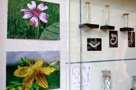 Варна - Природонаучен музей - изложба