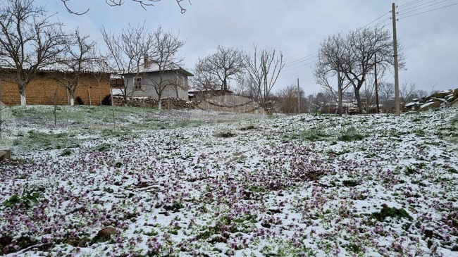 Три поредни дни в Търговищко са отчетени минусови температури и слани 