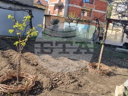 Търговище - ниски температури - овощки 