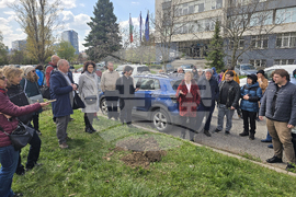 БАН - „Седмица на гората“