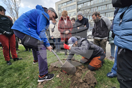 БАН - „Седмица на гората“