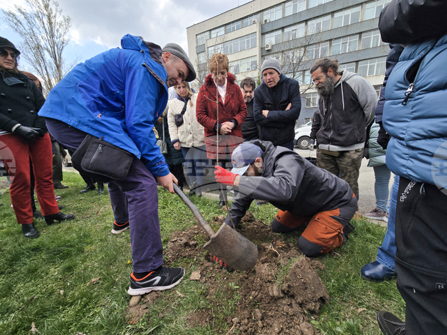 БАН - „Седмица на гората“
