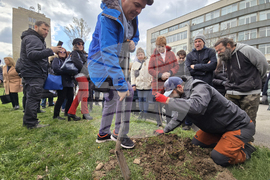 БАН - „Седмица на гората“