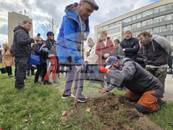 БАН - „Седмица на гората“