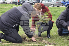 БАН - „Седмица на гората“