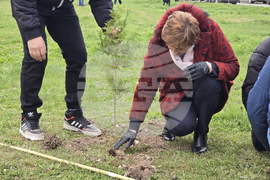БАН - „Седмица на гората“