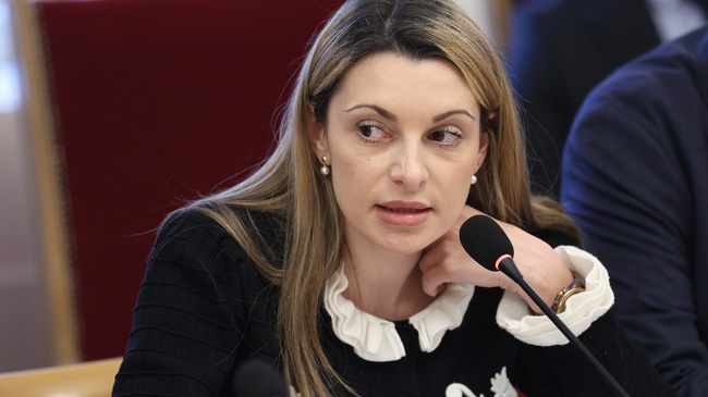 Electricity Market Liberalization for Households "Unlikely in the Next Decade", Says Parliamentary Energy Committee Chair