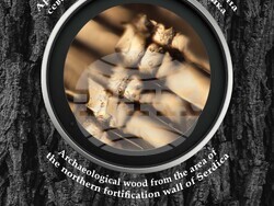 Различна гледна точка към дървесината като археологически материал представя изложба в Регионалния исторически музей в София. Снимка: РИМ-София