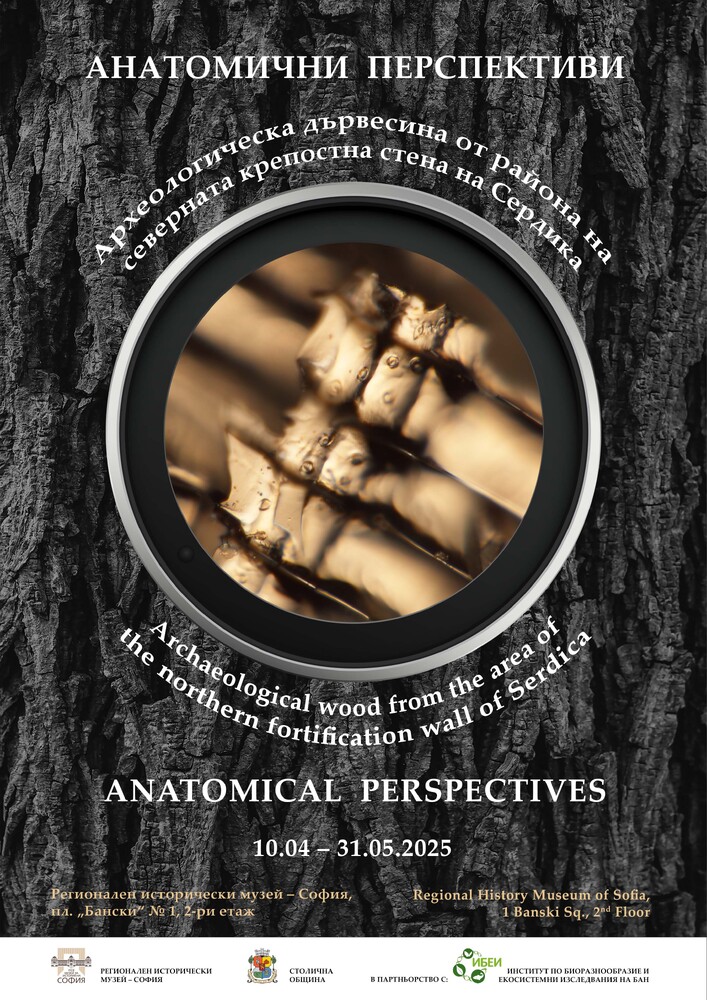 Различна гледна точка към дървесината като археологически материал представя изложба в Регионалния исторически музей в София