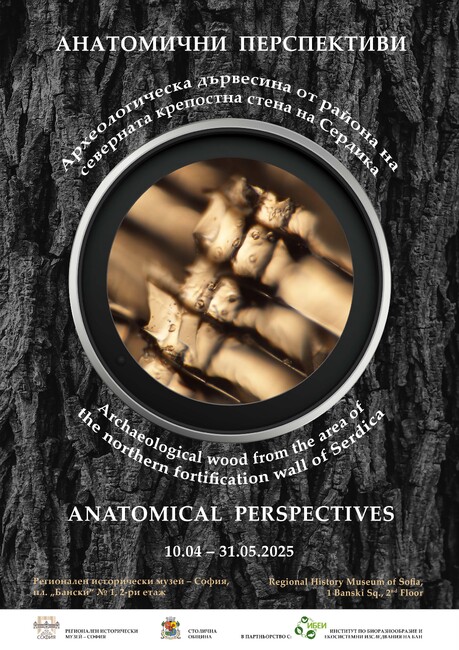 Различна гледна точка към дървесината като археологически материал представя изложба в Регионалния исторически музей в София