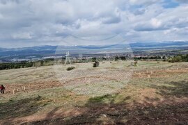 Село Нови хан - Седмица на гората - инициатива