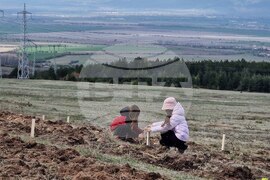 Село Нови хан - Седмица на гората - инициатива