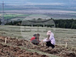 Село Нови хан - Седмица на гората - инициатива