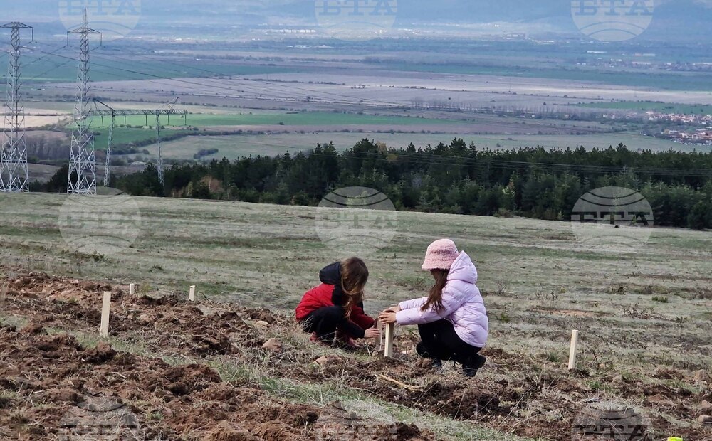 Село Нови хан - Седмица на гората - инициатива