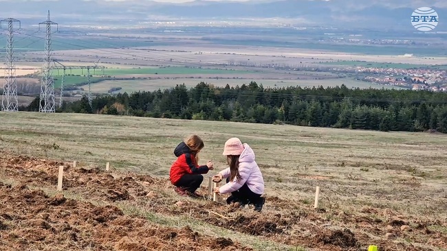 Над 1800 дъбови фиданки ще бъдат засадени край елинпелинското село Нови хан