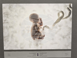 Плевен - фотоизложба - галерия "Илия Бешков"