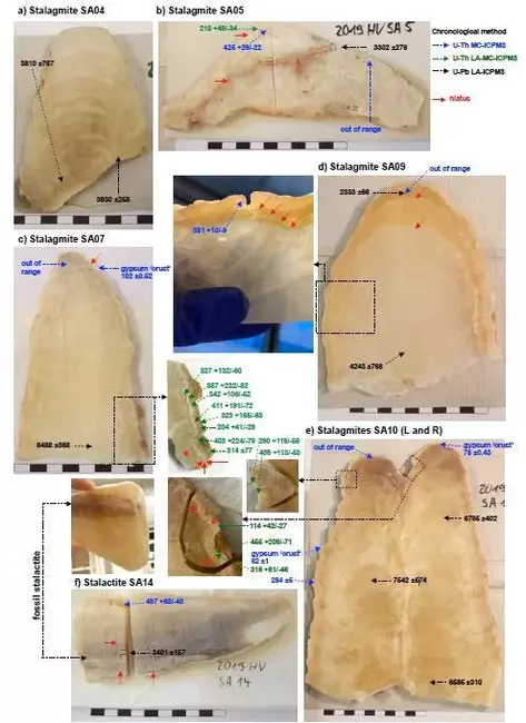 СПА: Проучване на пещерите "Духул ас Суман“ разкрива, че преди милиони години Саудитска Арабия е била процъфтяващ оазис