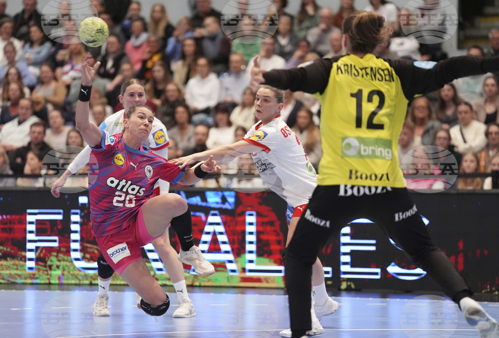 Germany Denmark Handball
