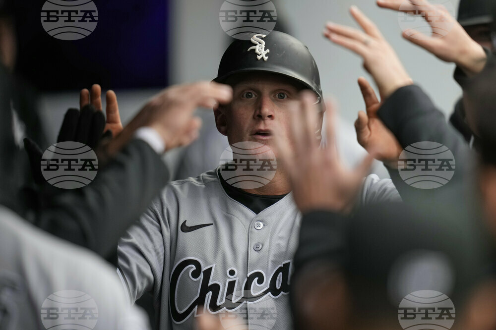 White Sox Guardians Baseball
