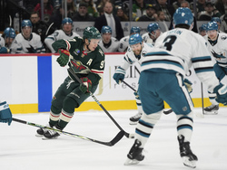 Sharks Wild Hockey