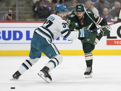 Sharks Wild Hockey