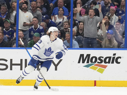 Maple Leafs Lightning Hockey