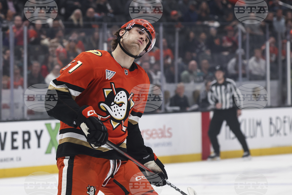 Flames Ducks Hockey