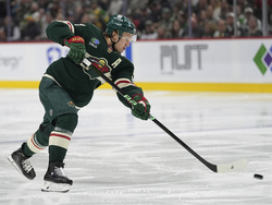 Sharks Wild Hockey